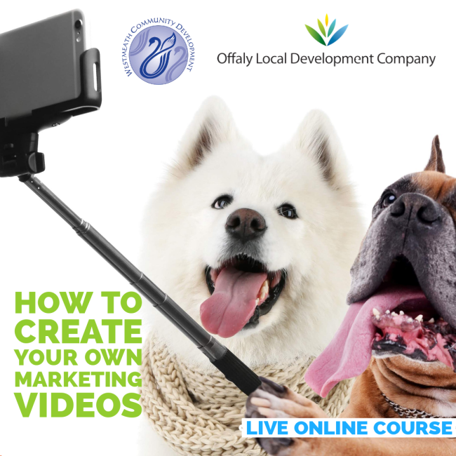 How to create marketing videos on a budget to promote your business